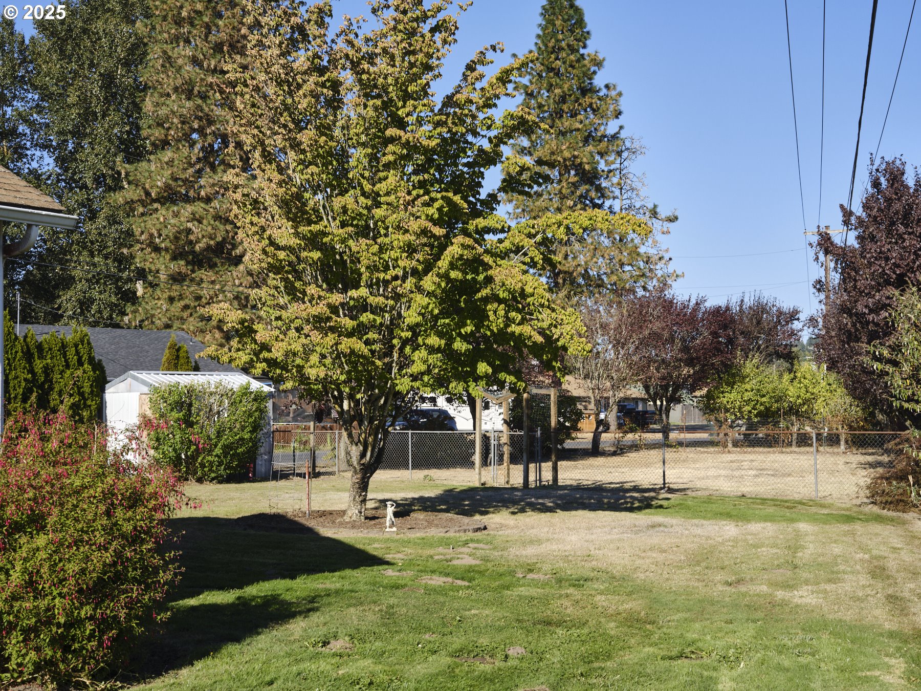 115 Whalen Loop Road Woodland, WA 98674 - Photo 37 of 40 a view of a park with large trees