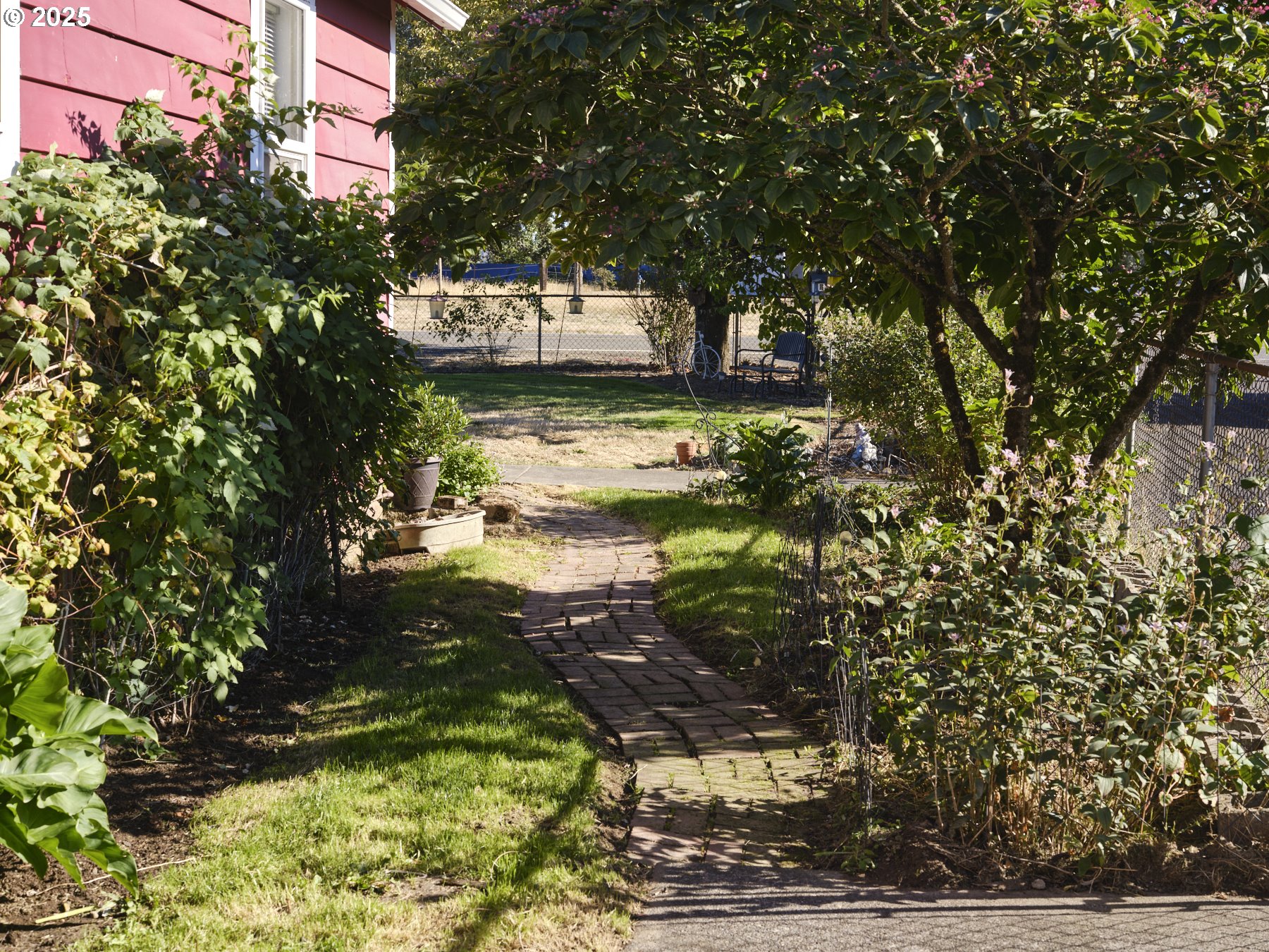 115 Whalen Loop Road Woodland, WA 98674 - Photo 5 of 40 a view of a yard with an trees