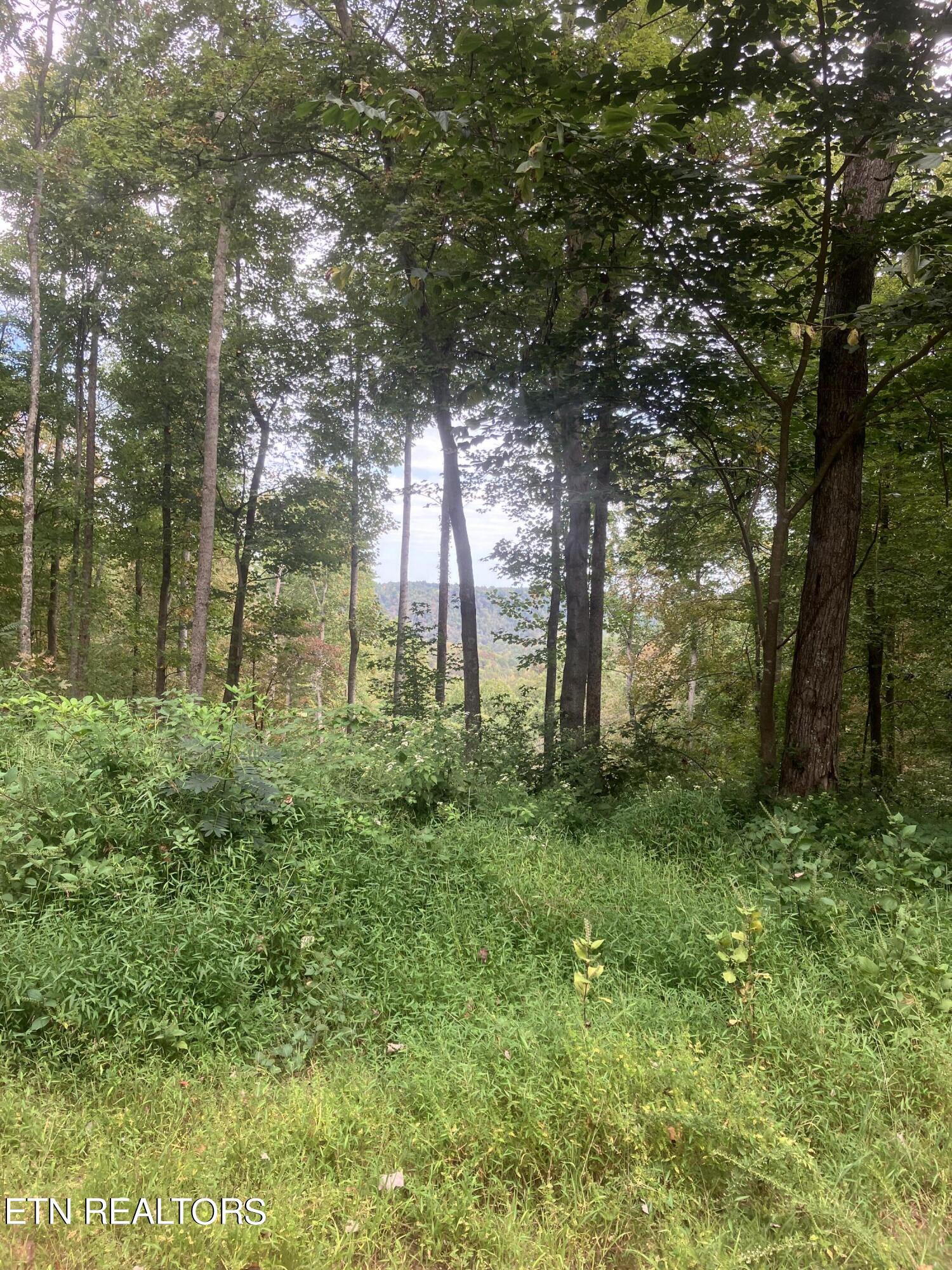 2900 Bryant Ridge Road Baxter, TN 38544 - Photo 2 of 4 IMG_5851