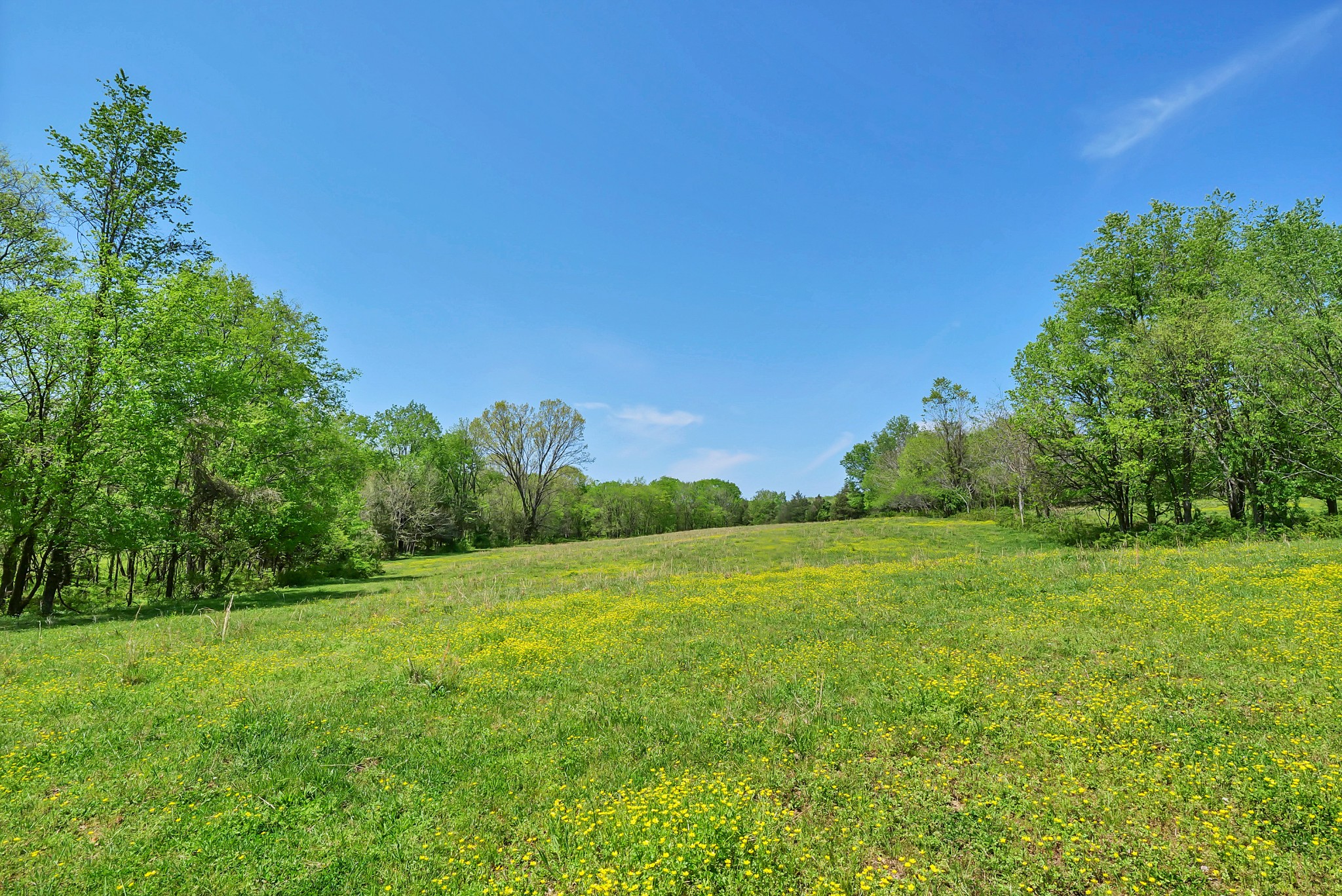 0 Gladdice Road Pleasant Shade, TN 37145 - Photo 12 of 45 a view of a field with trees in the background