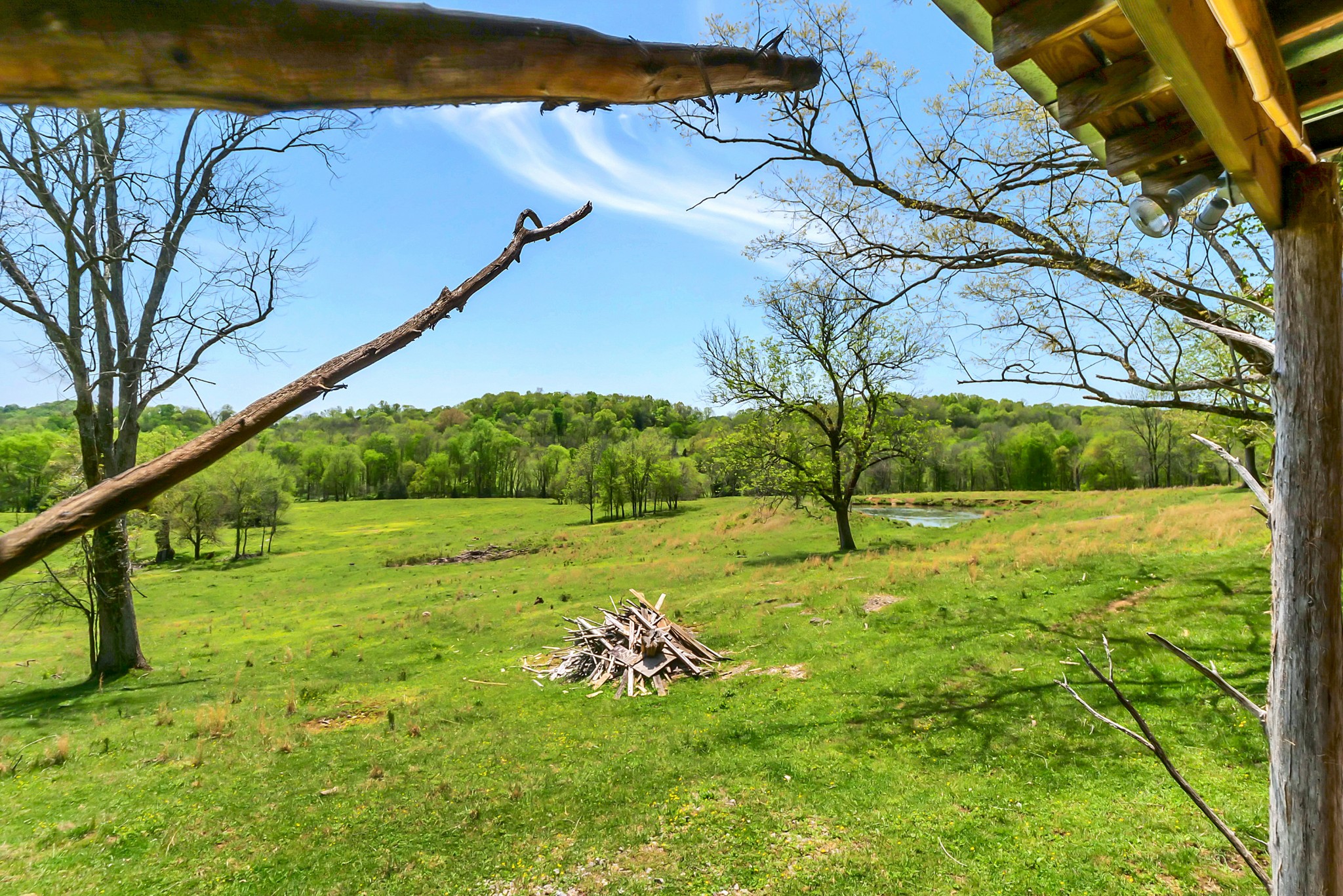 0 Gladdice Road Pleasant Shade, TN 37145 - Photo 29 of 45 a view of a field with a tree