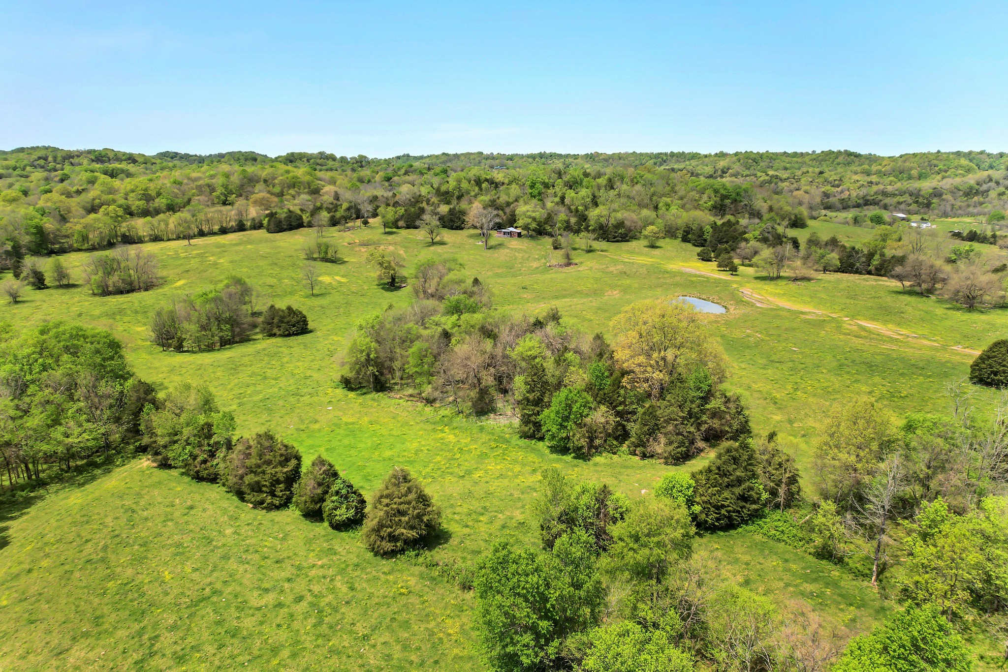 0 Gladdice Road Pleasant Shade, TN 37145 - Photo 41 of 45 a view of a lush green space with lots of trees