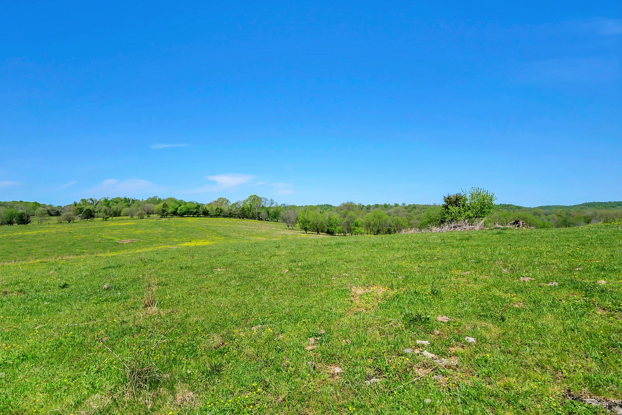 0 Gladdice Road Pleasant Shade, TN 37145 - Photo 9 of 45 a view of a grassy field with an ocean