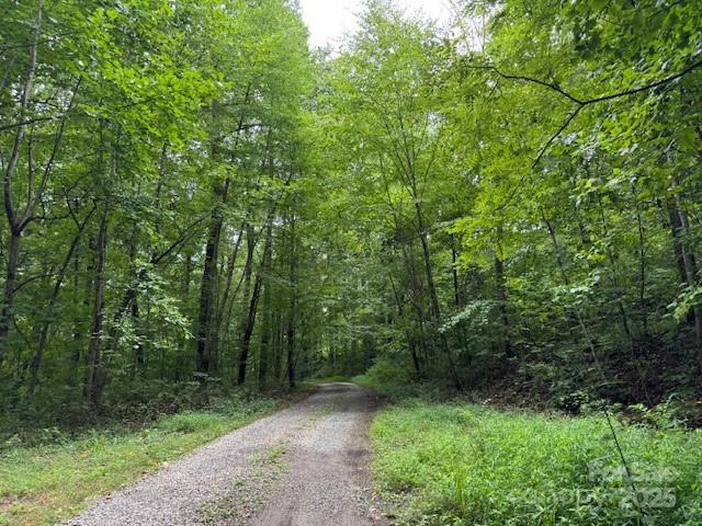 0 Orchard Mountain Road Saluda, NC 28773 - Photo 3 of 14 Gallery Image 3
