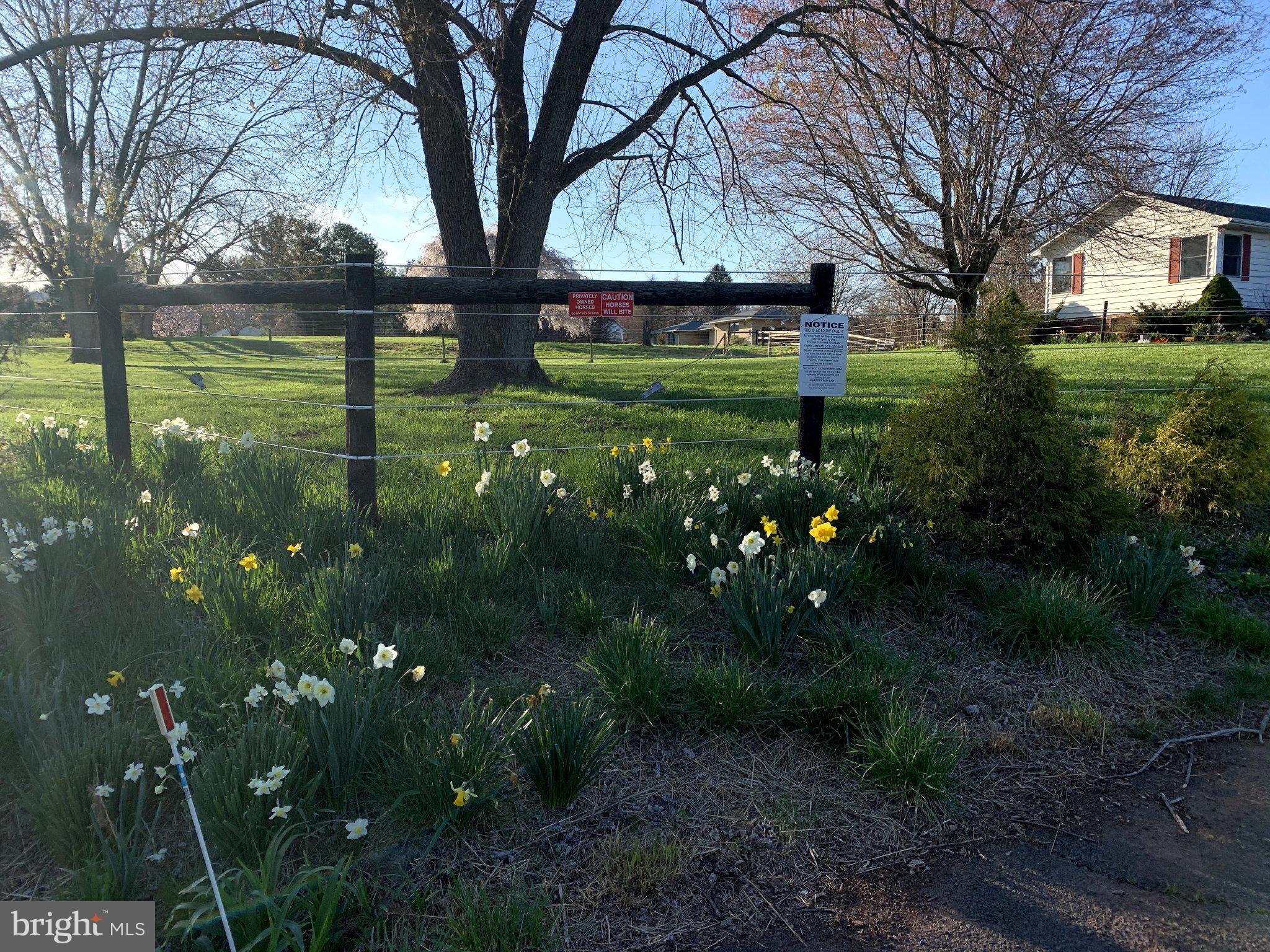 15010 Rolling Ridge Road Haymarket, VA 20169 - Photo 49 of 61 Charming spring blooms by the fence.
