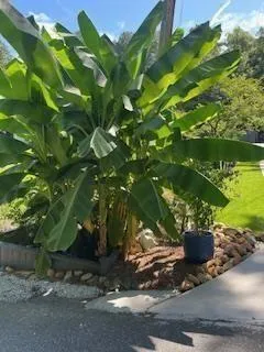 $1,600 | 118 Tarpon Trail Southeast, Cartersville, GA 30121