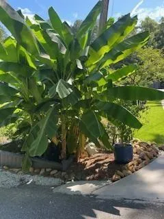 $1,600 | 118 Tarpon Trail Southeast, Cartersville, GA 30121