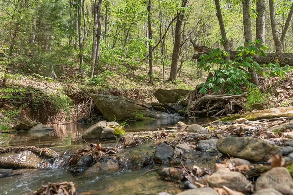 $749,000 | 552 Dirt Nose Drive, Sparta, NC 28675