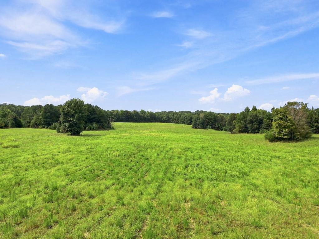 409 Peeples Road Southeast Aragon, GA 30104 - Photo 9 of 20 Gallery Image 9