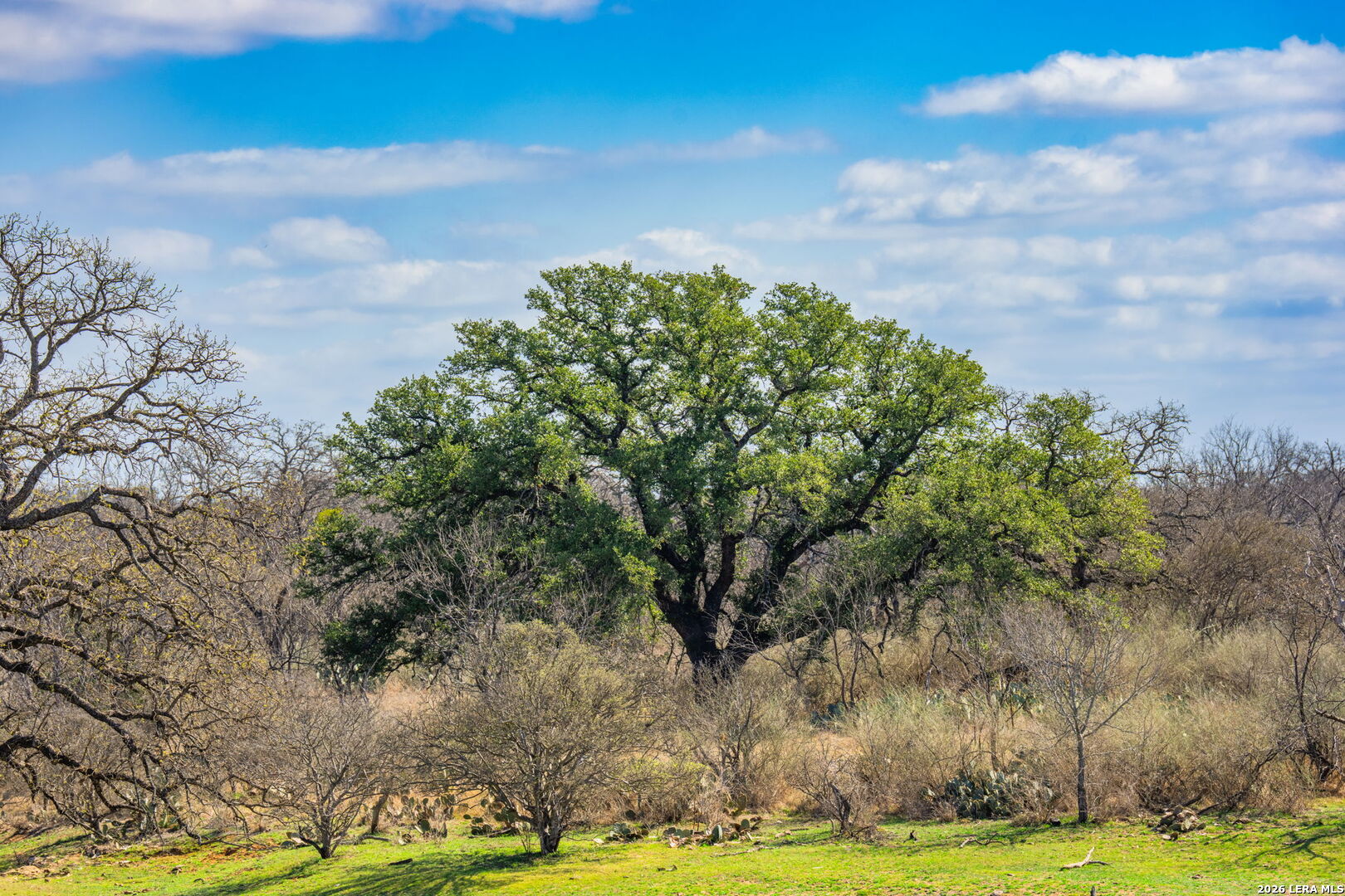 0 Rm 2241 Llano, TX 78643 - Photo 9 of 14