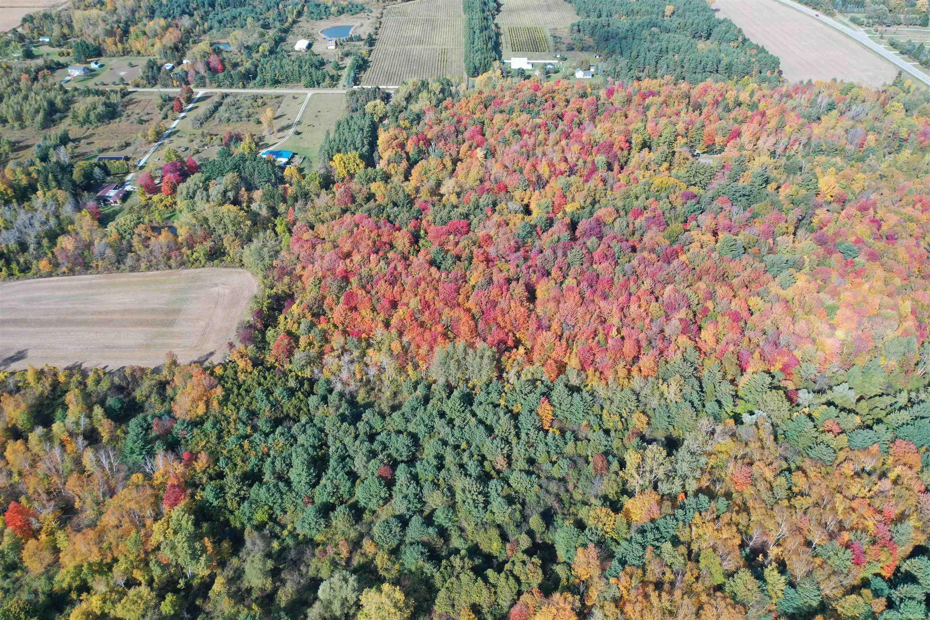0 French Line Road Carsonville, MI 48419 - Photo 9 of 25