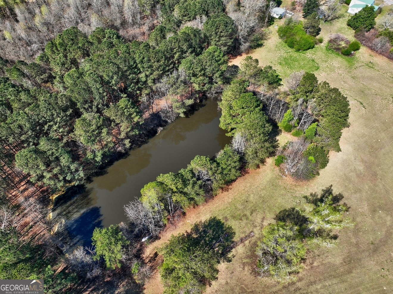 205 Highway 186, Unit TRACT 1 Good Hope, GA 30641 - Photo 23 of 28 a view of a lake with a park
