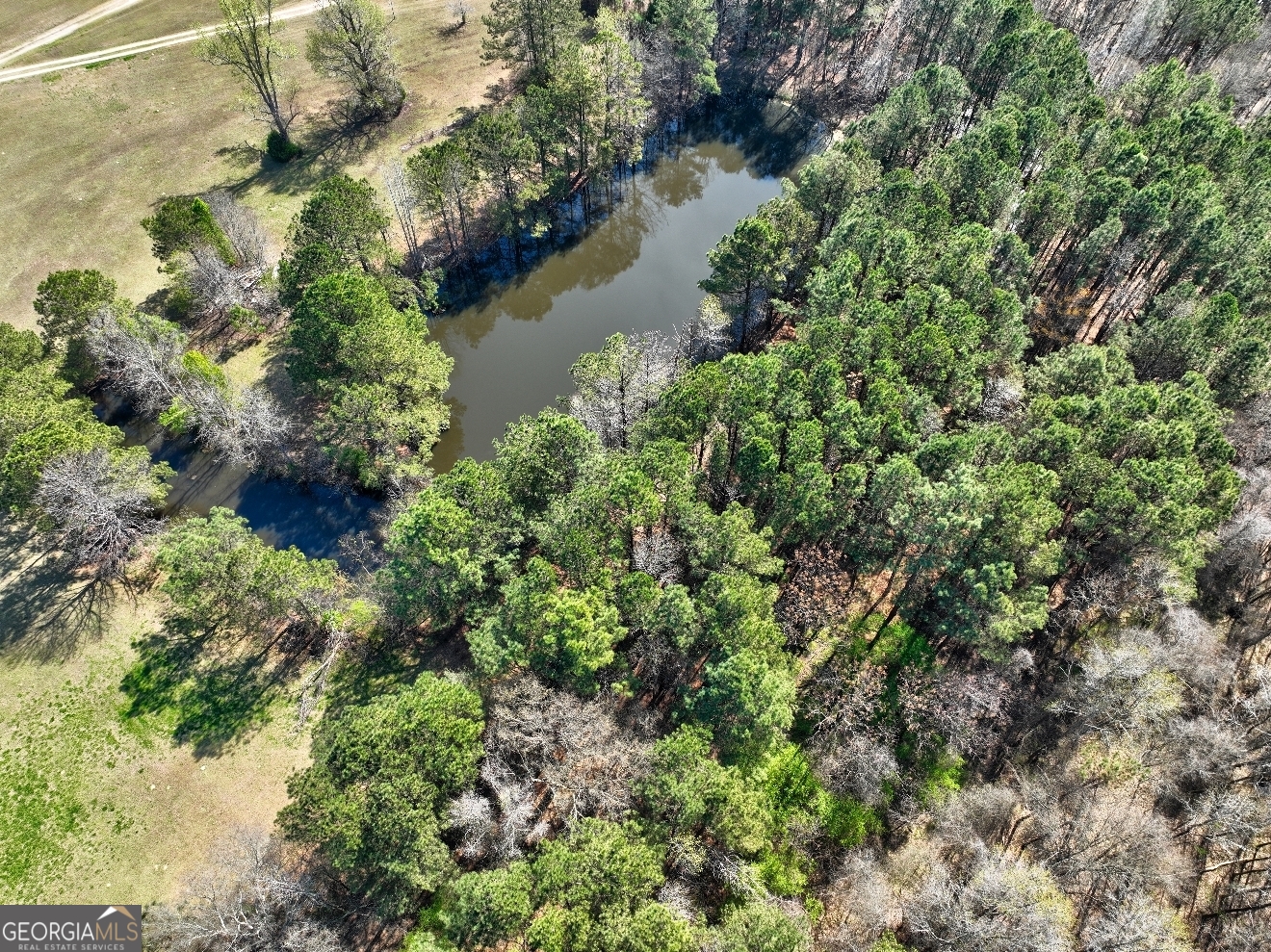 205 Highway 186, Unit TRACT 1 Good Hope, GA 30641 - Photo 25 of 28 a view of a lake with a house