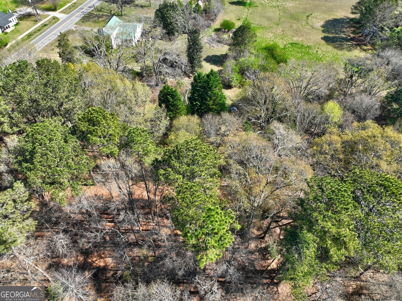 205 Highway 186, Unit TRACT 1 Good Hope, GA 30641 - Photo 26 of 28 a plant view in yard