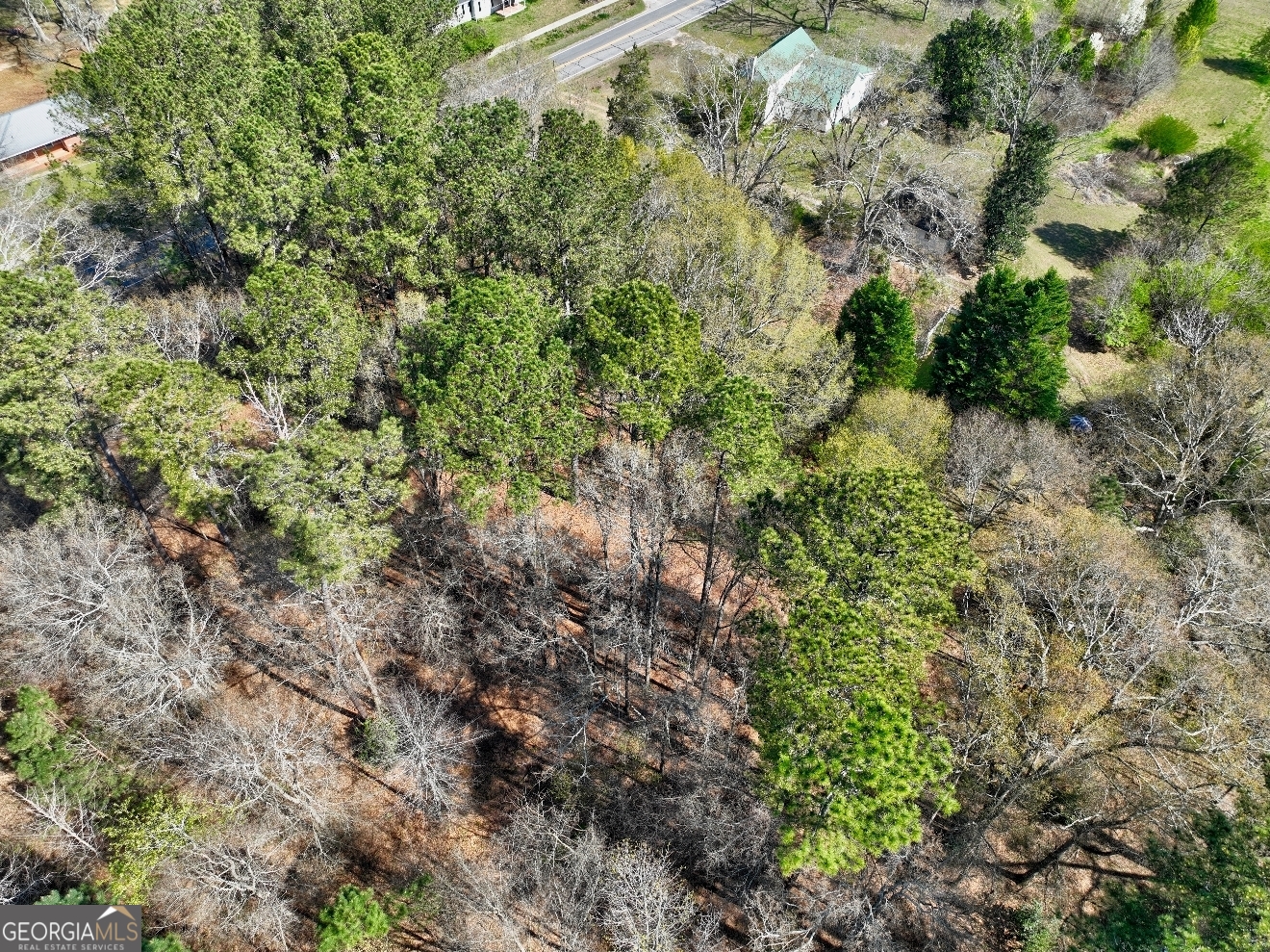 205 Highway 186, Unit TRACT 1 Good Hope, GA 30641 - Photo 27 of 28 a view of a forest with a tree