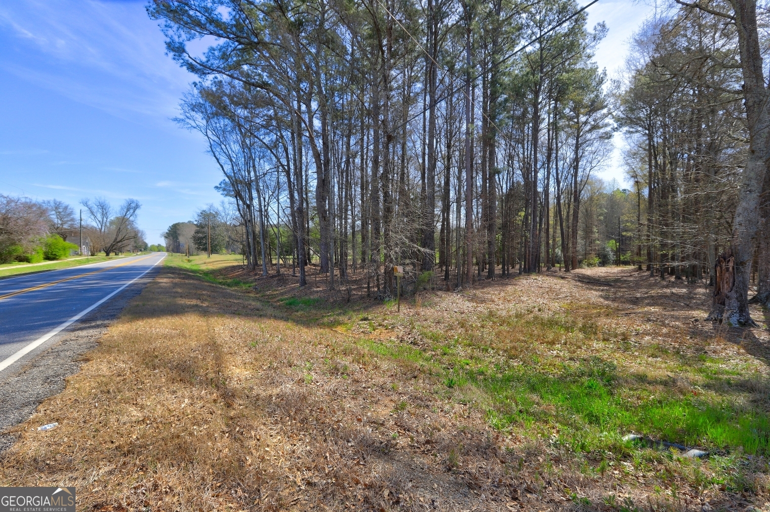 205 Highway 186, Unit TRACT 1 Good Hope, GA 30641 - Photo 6 of 28 a view of outdoor space with trees