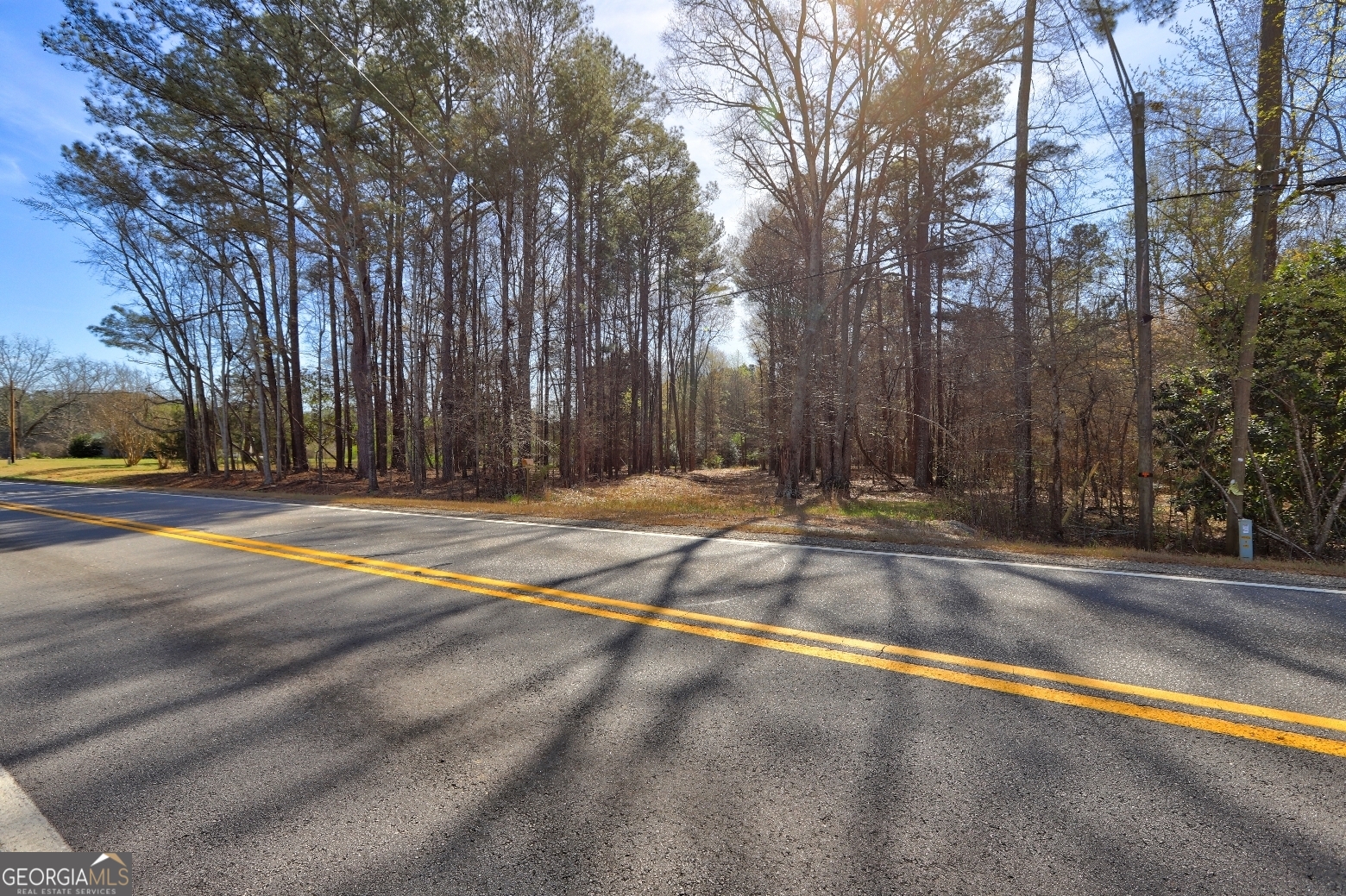 205 Highway 186, Unit TRACT 1 Good Hope, GA 30641 - Photo 7 of 28