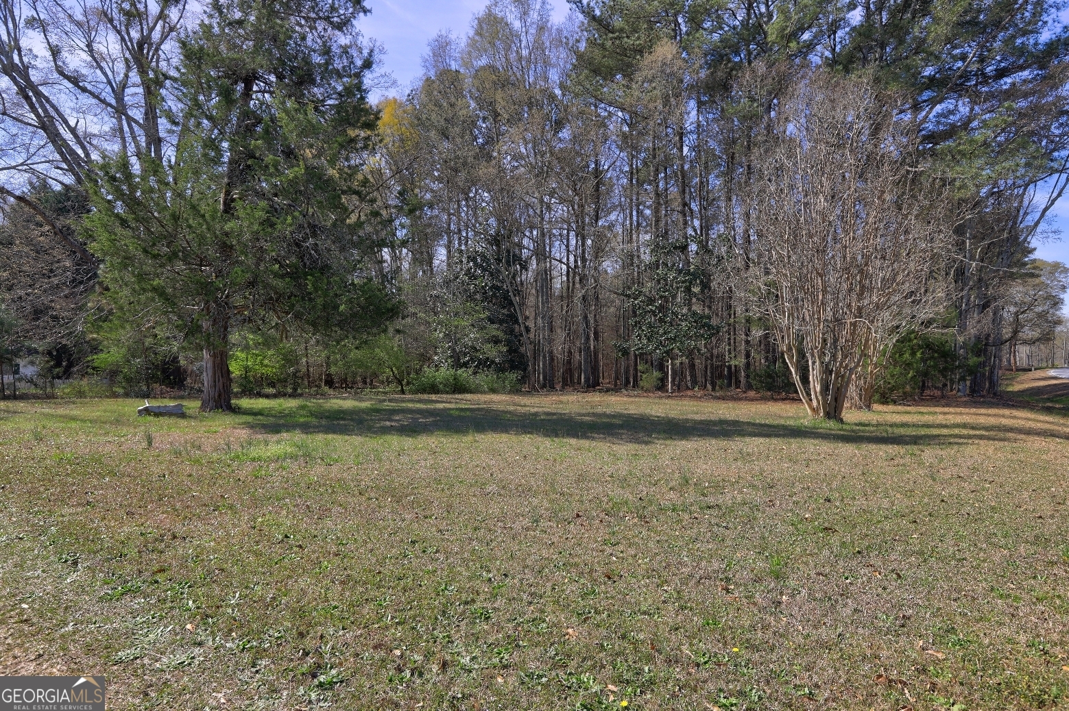 205 Highway 186, Unit TRACT 1 Good Hope, GA 30641 - Photo 8 of 28 a view of a field with trees