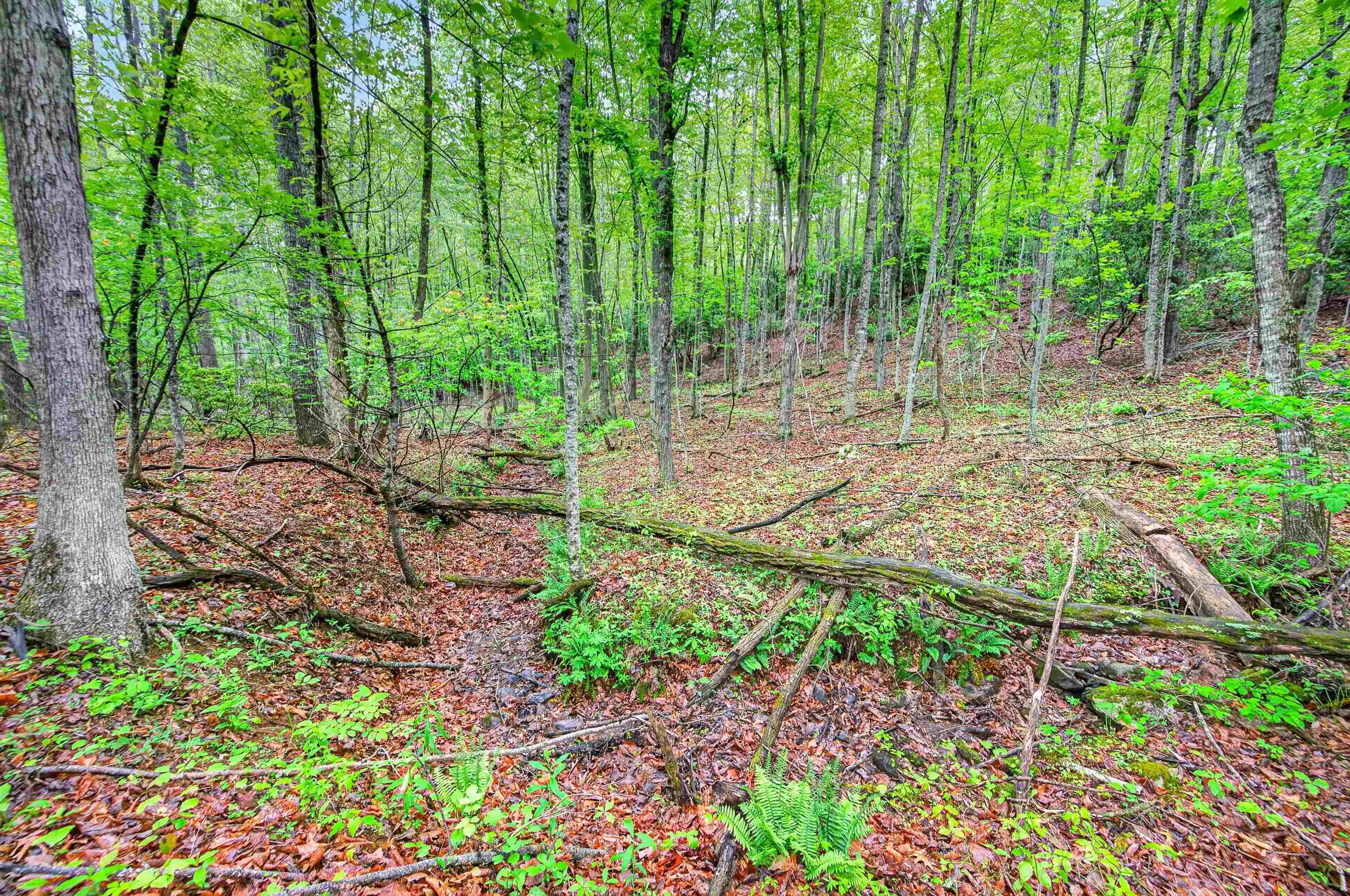 899 Fairview Church Road Southwest Floyd, VA 24091 - Photo 65 of 69 Gallery Image 65
