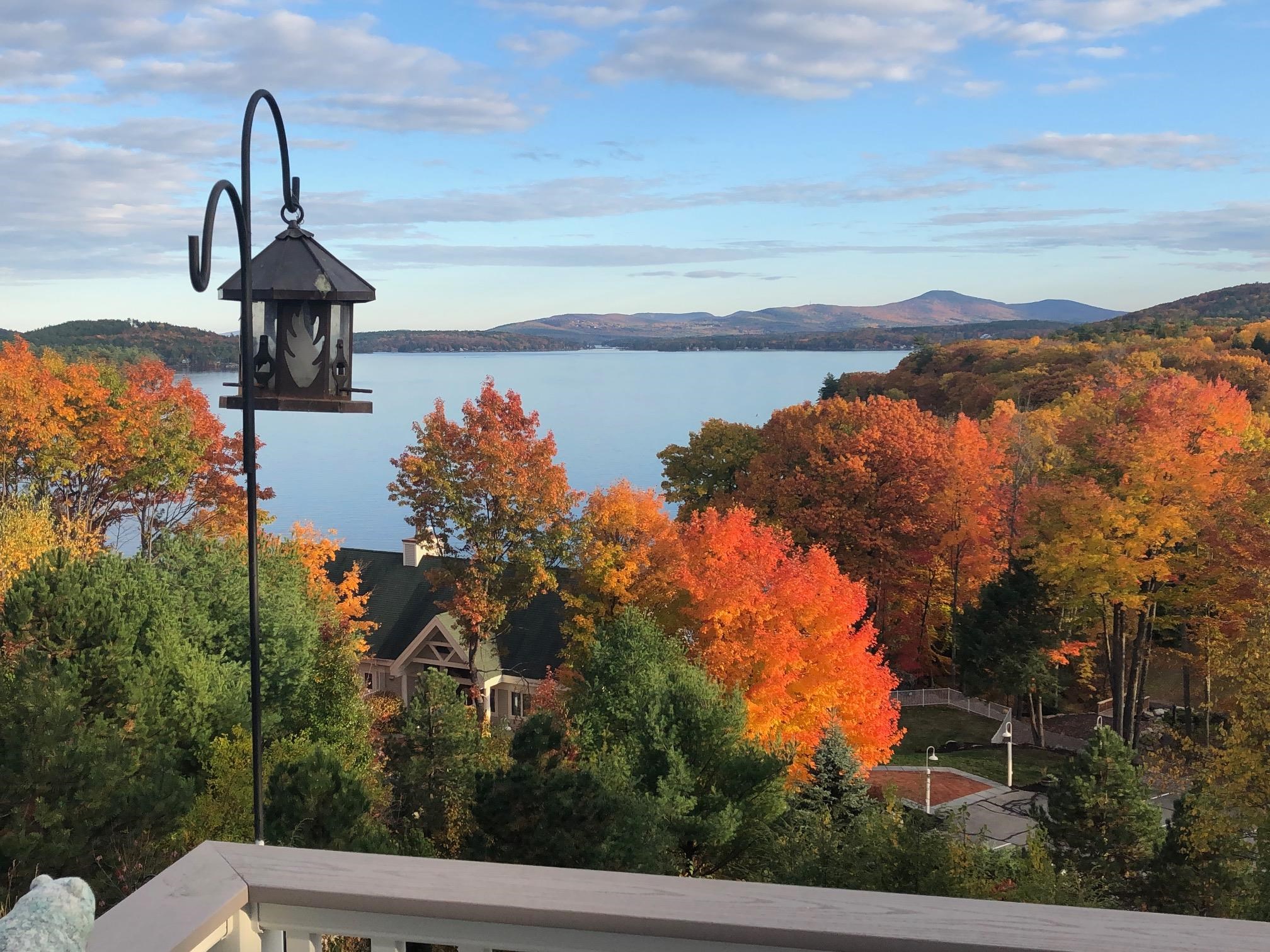 21 South Watch Road Meredith, NH 03253 - Photo 34 of 46