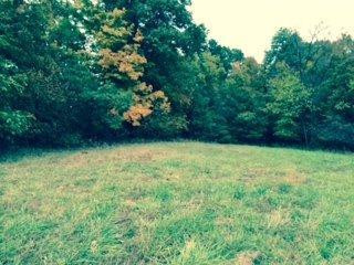 14315 Stamping Ground Road Stamping Ground, KY 40379 - Photo 9 of 15 Photo 9