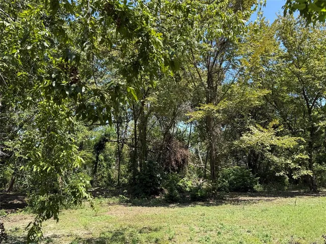 a view of outdoor space