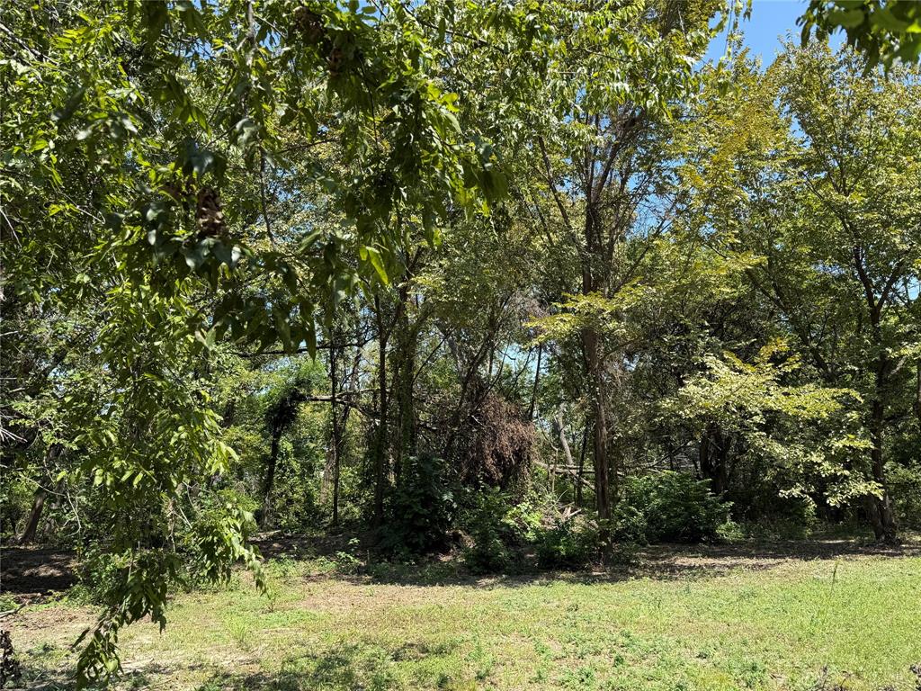 702 Fenet Street McKinney, TX 75069 - Photo 1 of 1 a view of outdoor space