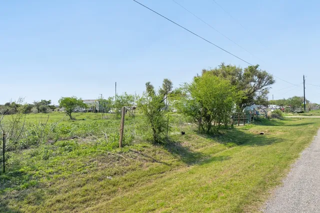 a view of a garden with an trees