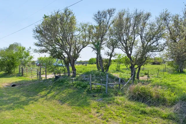 a view of a backyard with trees