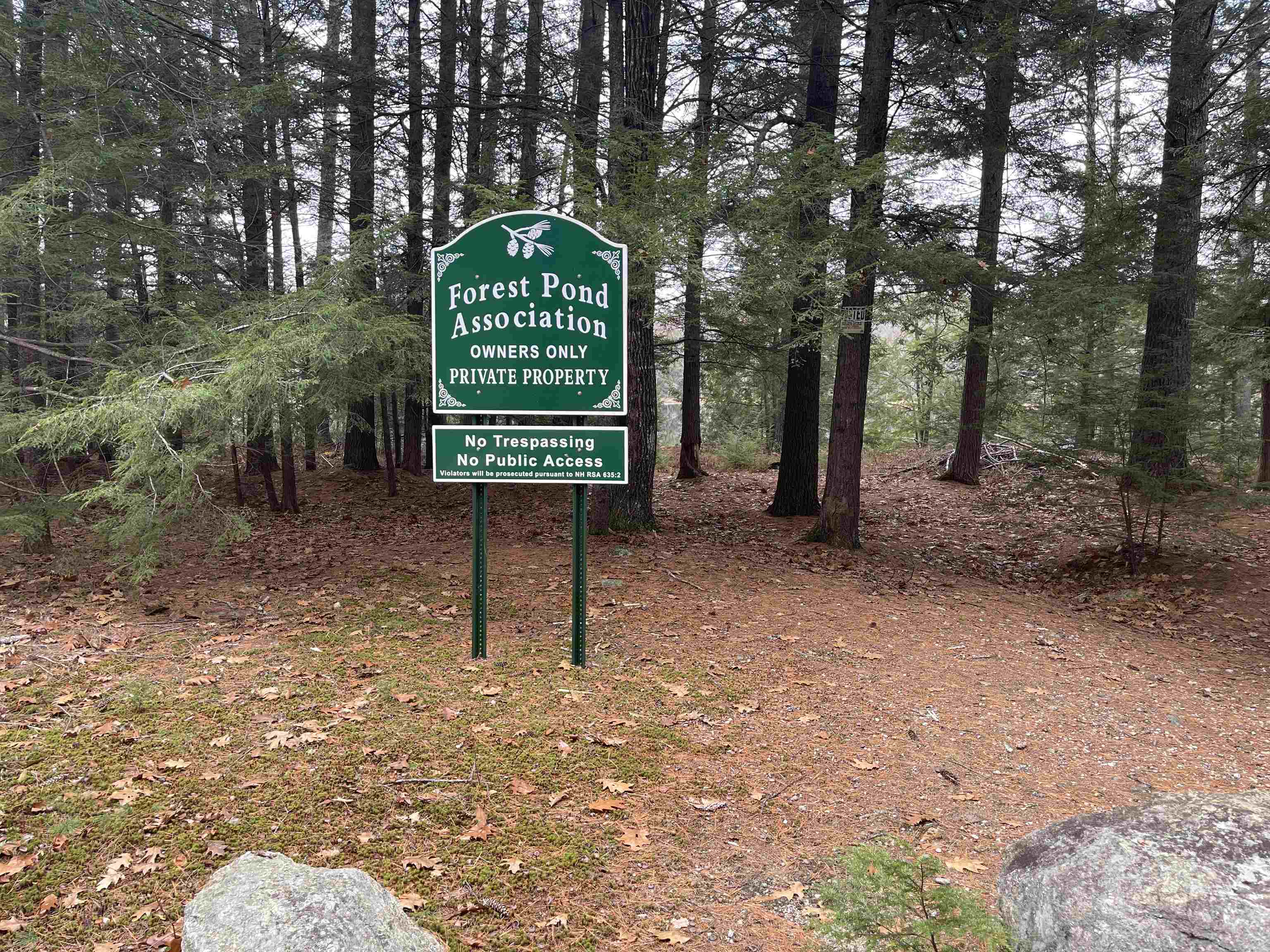 850 Straits Road New Hampton, NH 03256 - Photo 3 of 31