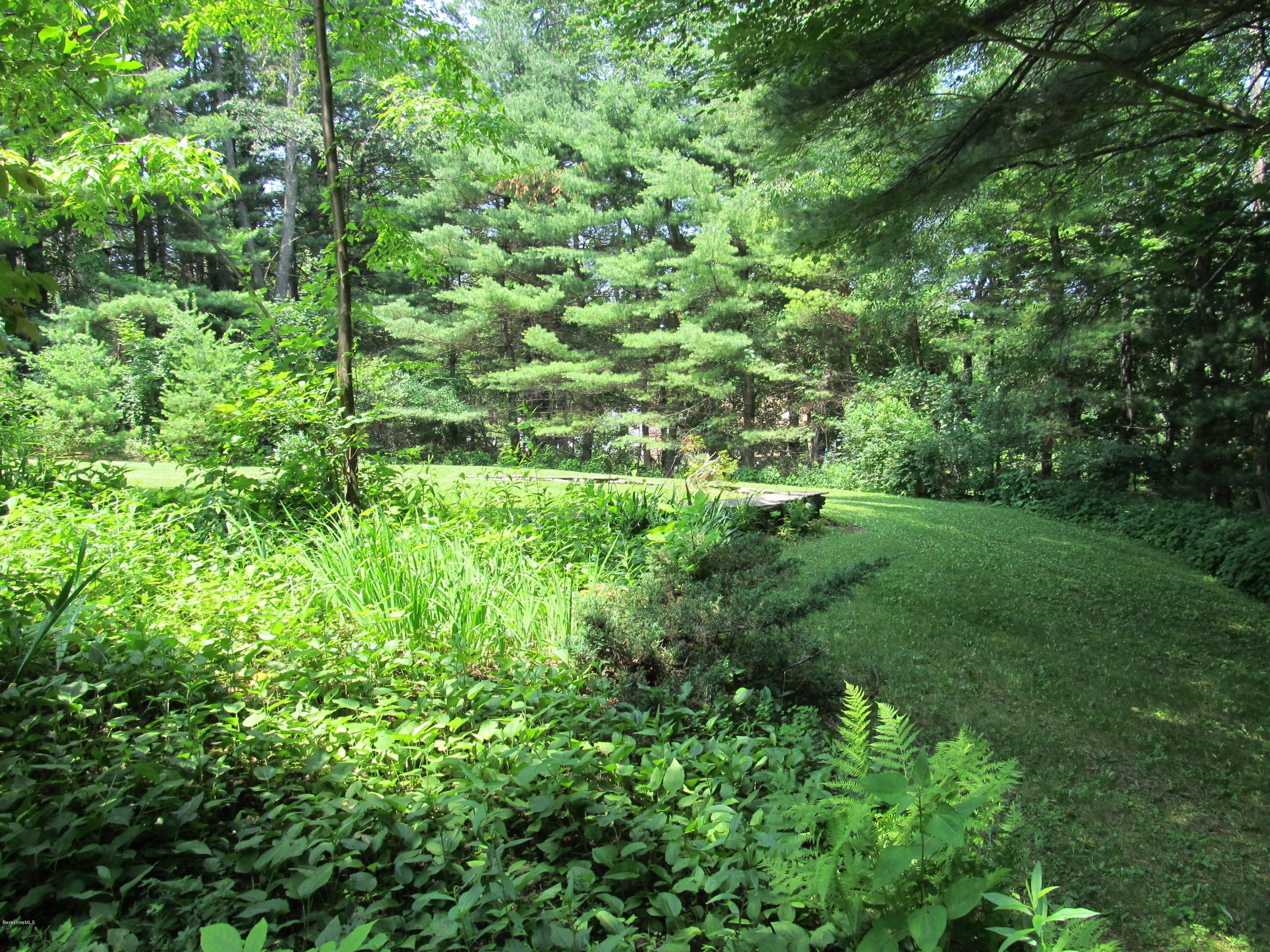 41 Pine Knoll Road Lenox, MA 01240 - Photo 27 of 37 a view of a lush green forest with large trees