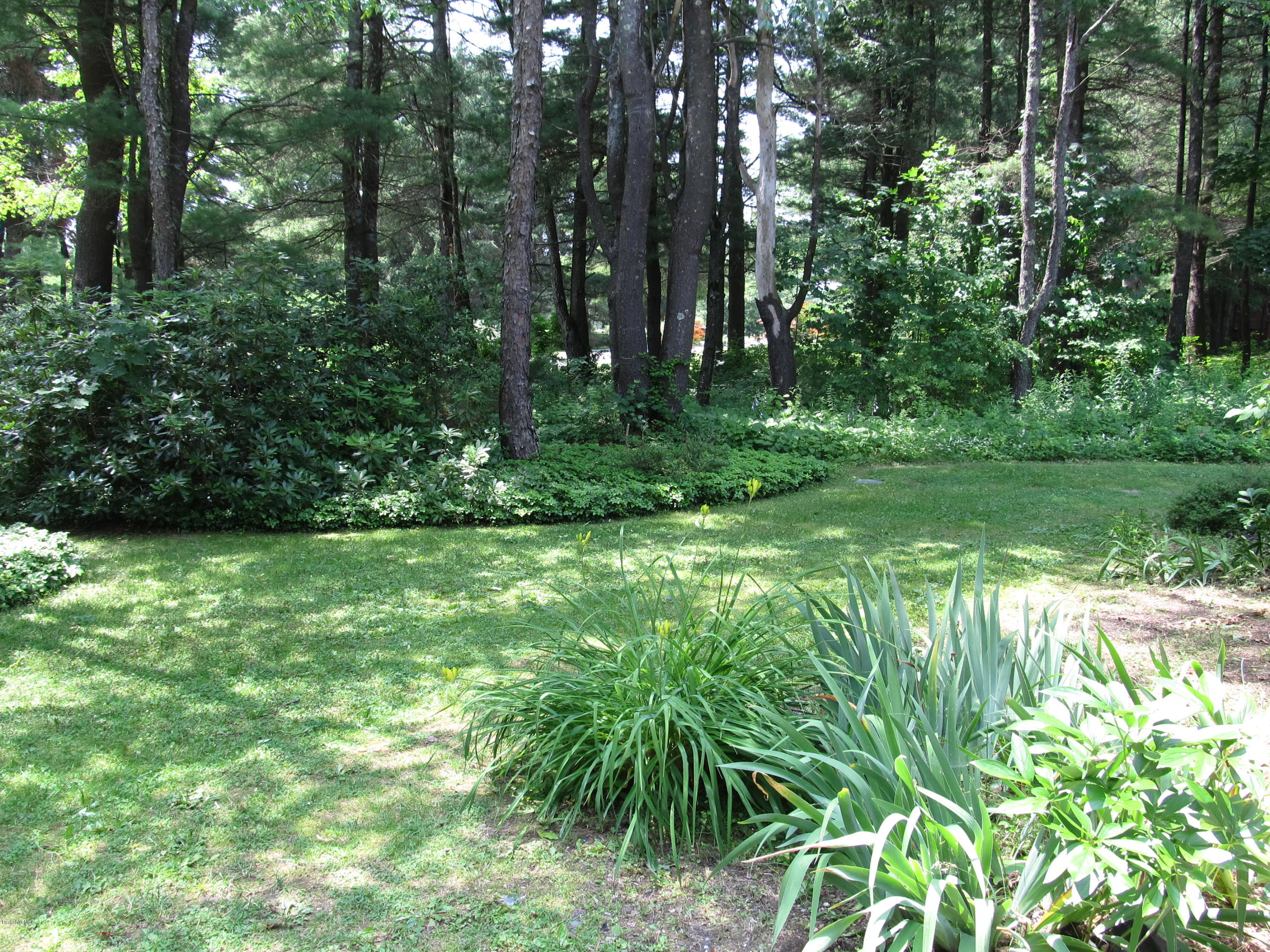 41 Pine Knoll Road Lenox, MA 01240 - Photo 31 of 37 a view of backyard with green space