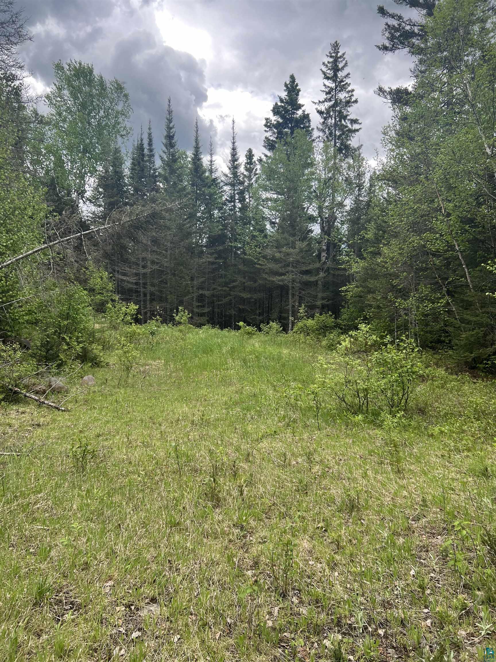 26 Camp 26 Road Silver Bay, MN 55614 - Photo 3 of 8