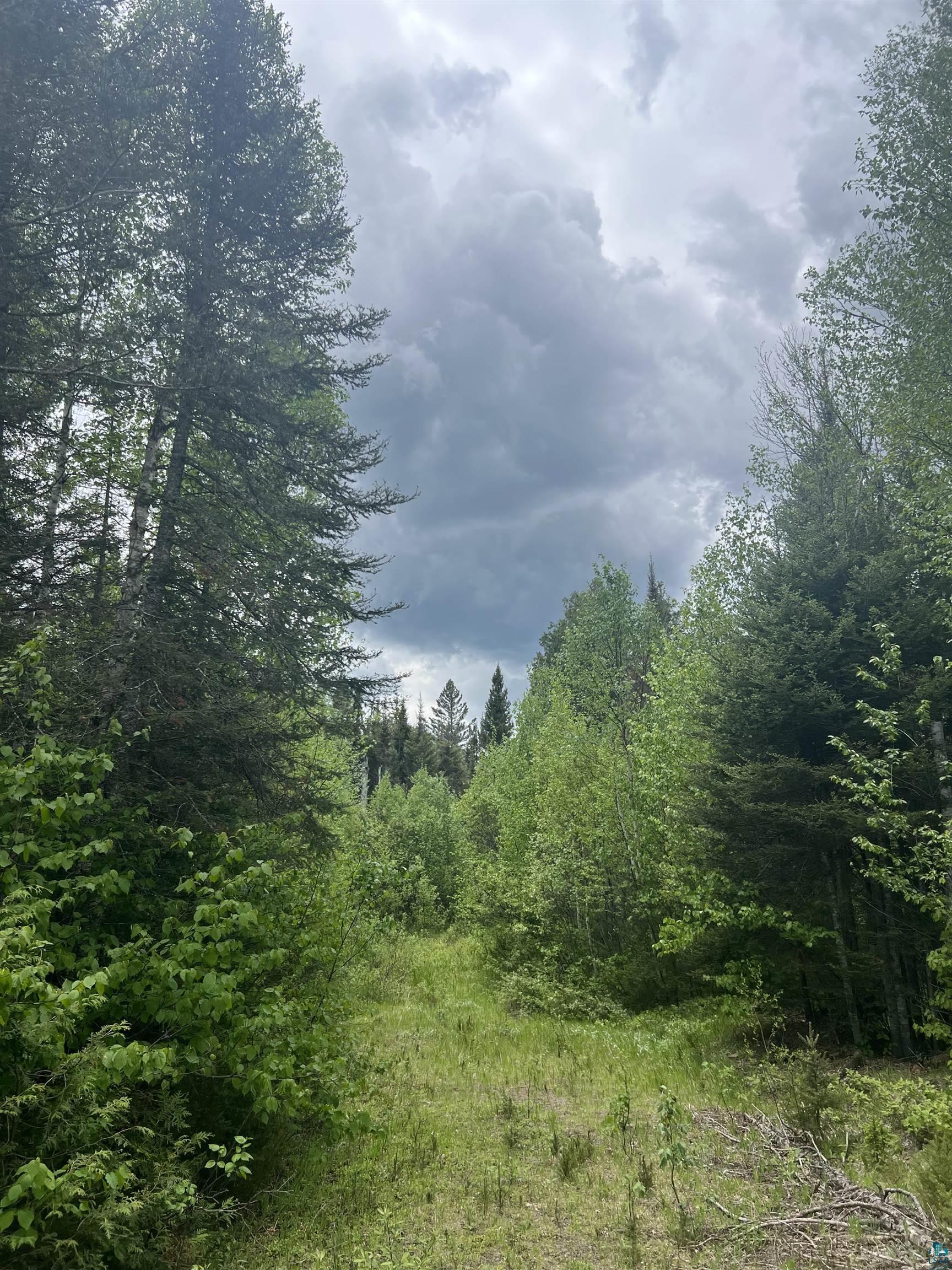 26 Camp 26 Road Silver Bay, MN 55614 - Photo 5 of 8