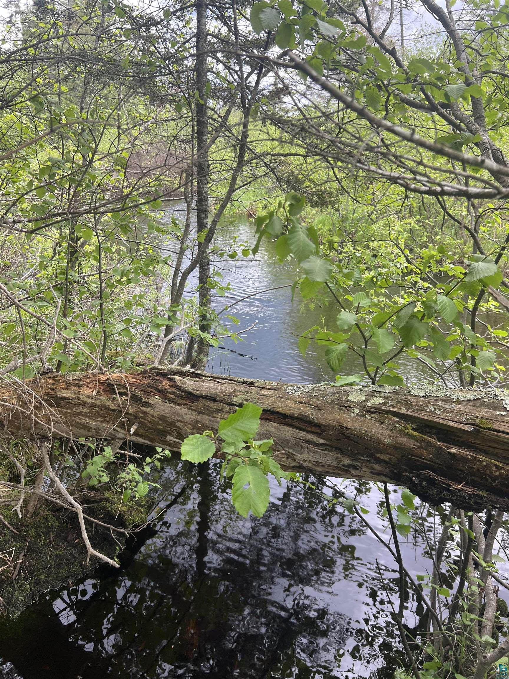 26 Camp 26 Road Silver Bay, MN 55614 - Photo 6 of 8