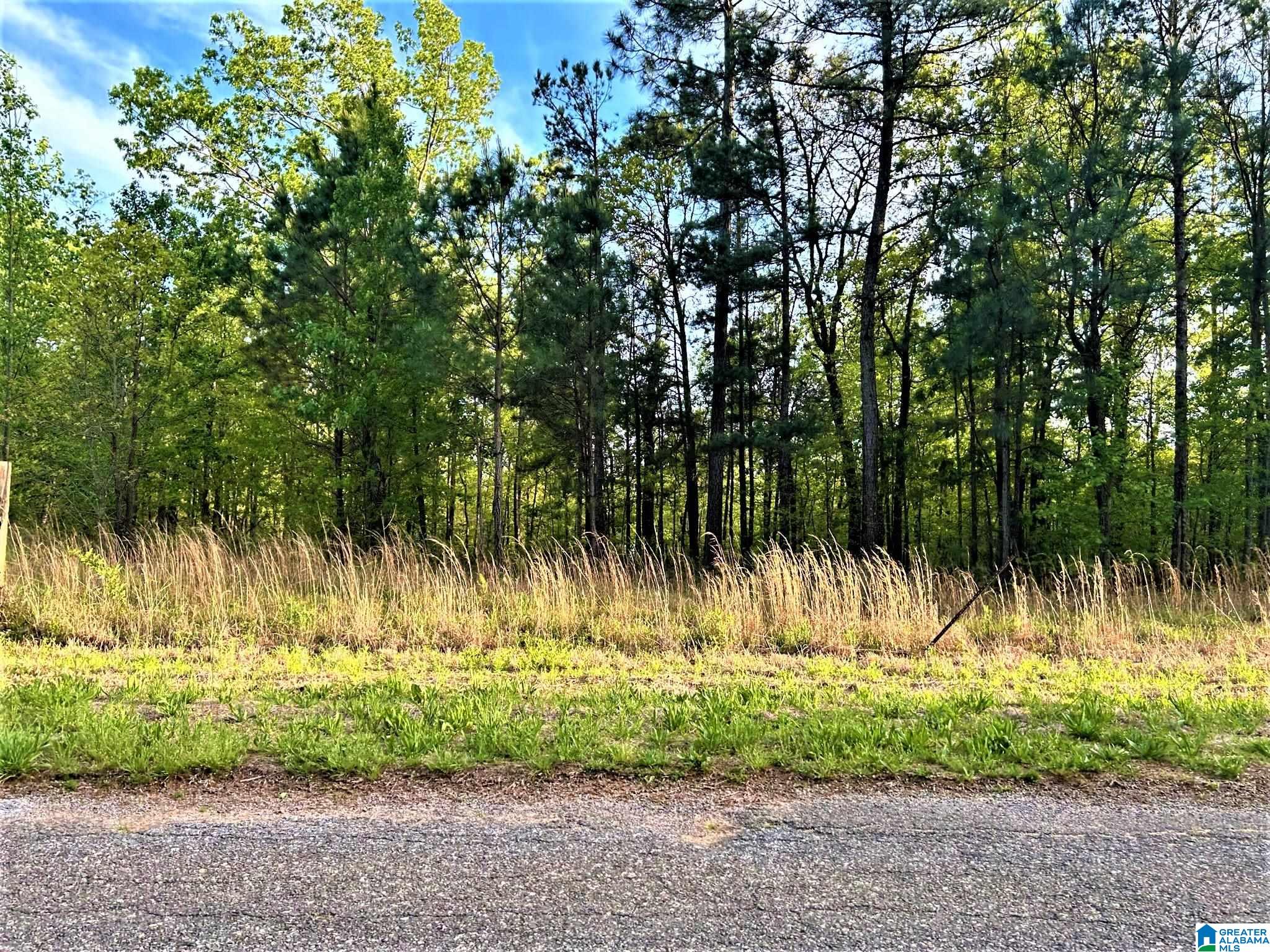 3741 County Road 47, Unit TRACT 1 Heflin, AL 36264 - Photo 9 of 10
