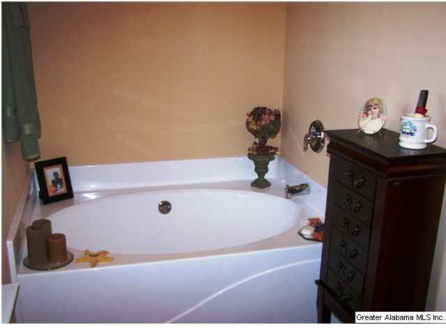 236 County Road 910 Delta, AL 36258 - Photo 20 of 27