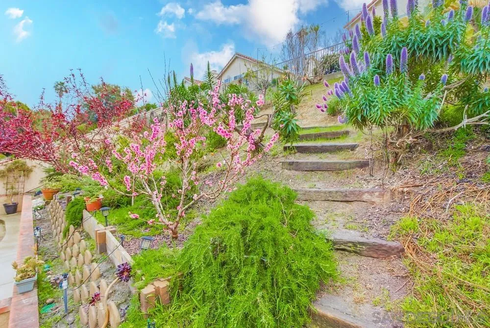 1507 Promontory Ridge Way Vista, CA 92081 - Photo 24 of 28 a view of a flower in a garden