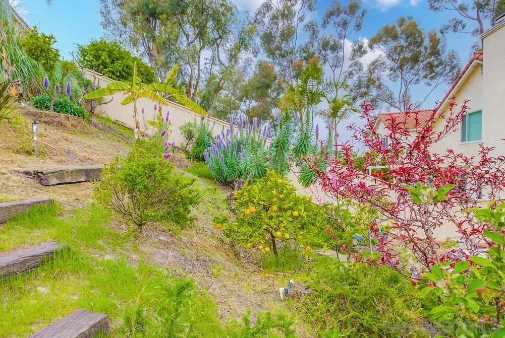 1507 Promontory Ridge Way Vista, CA 92081 - Photo 25 of 28 a picture of flowers