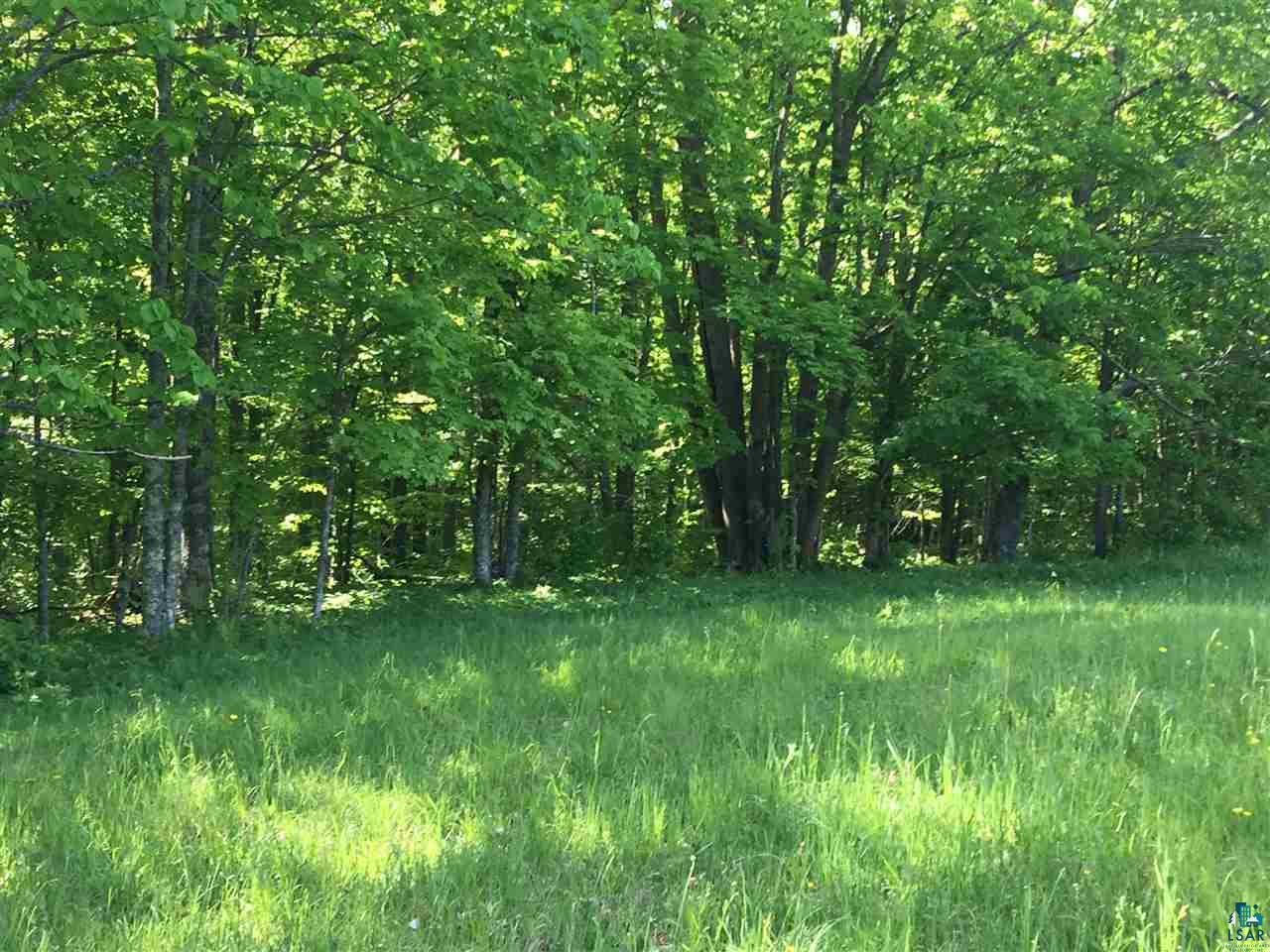 Xxxx County Line Road Sturgeon Lake, MN 55783 - Photo 23 of 35 Gallery Image 23