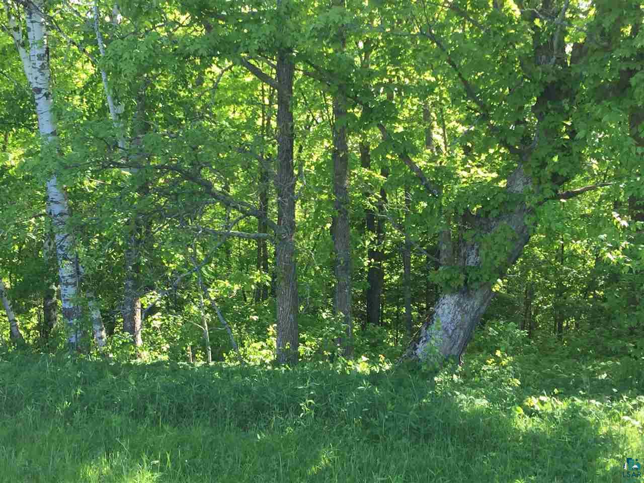Xxxx County Line Road Sturgeon Lake, MN 55783 - Photo 25 of 35 Gallery Image 25