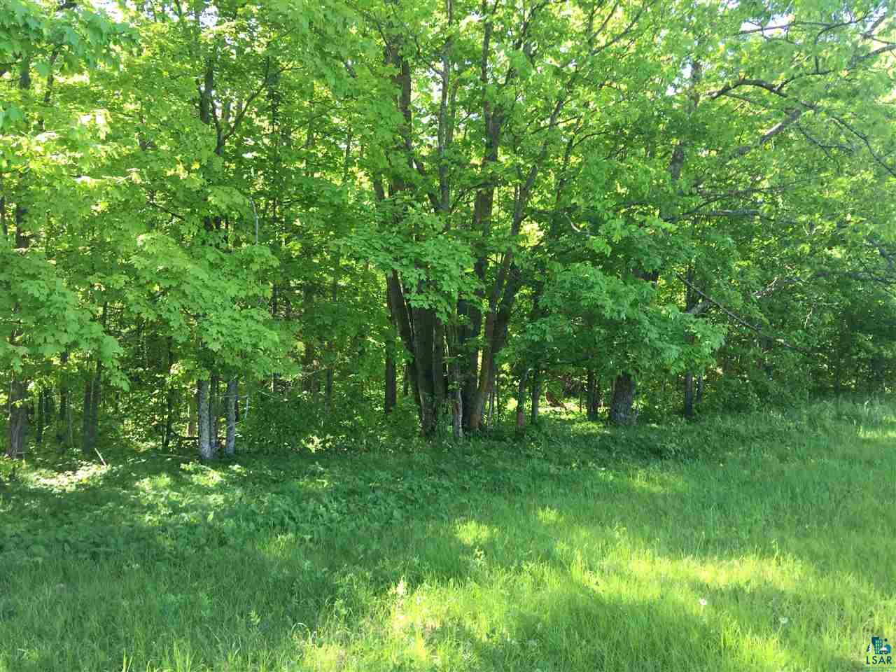Xxxx County Line Road Sturgeon Lake, MN 55783 - Photo 27 of 35 Gallery Image 27