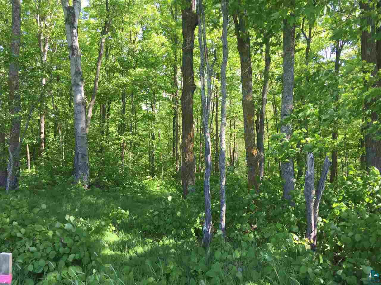 Xxxx County Line Road Sturgeon Lake, MN 55783 - Photo 3 of 35 Gallery Image 3
