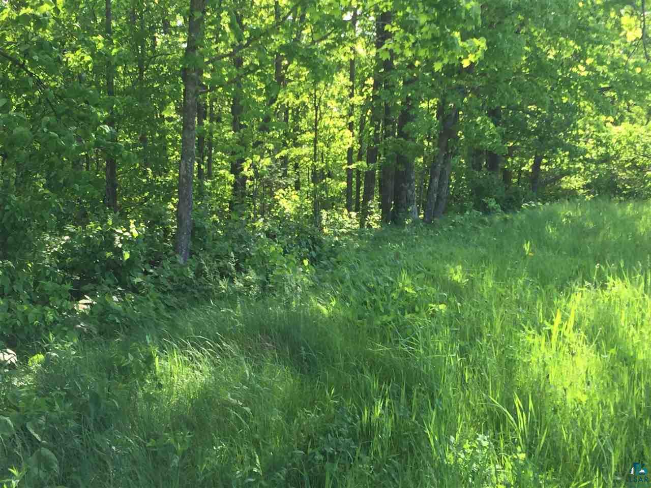 Xxxx County Line Road Sturgeon Lake, MN 55783 - Photo 8 of 35 Gallery Image 8