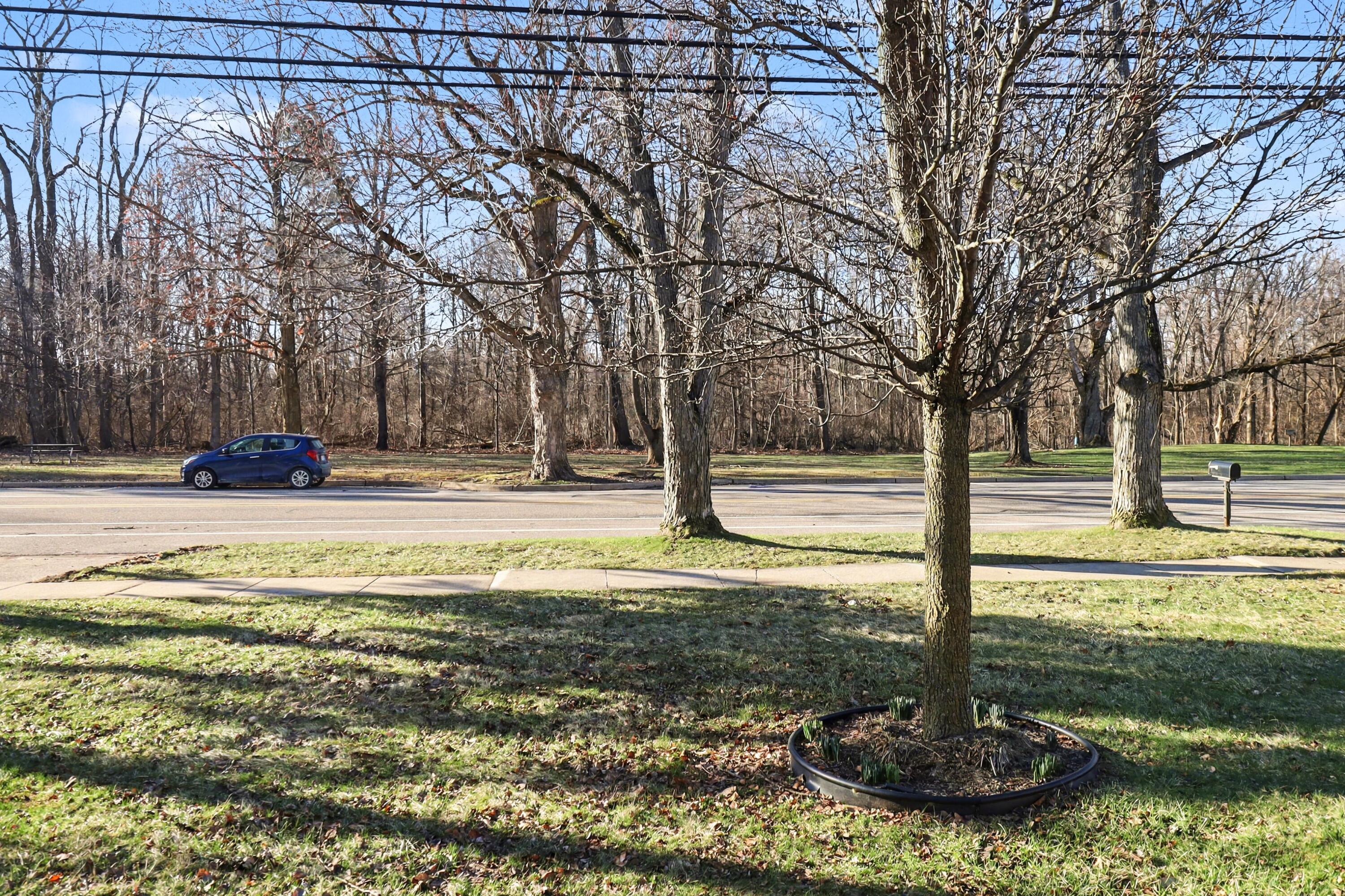 267 Willis Road Saline, MI 48176 - Photo 38 of 39 036_file_6039