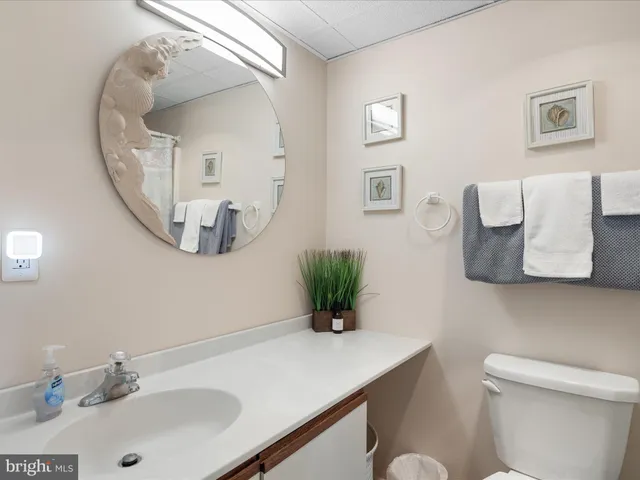 a bathroom with a toilet and a potted plant