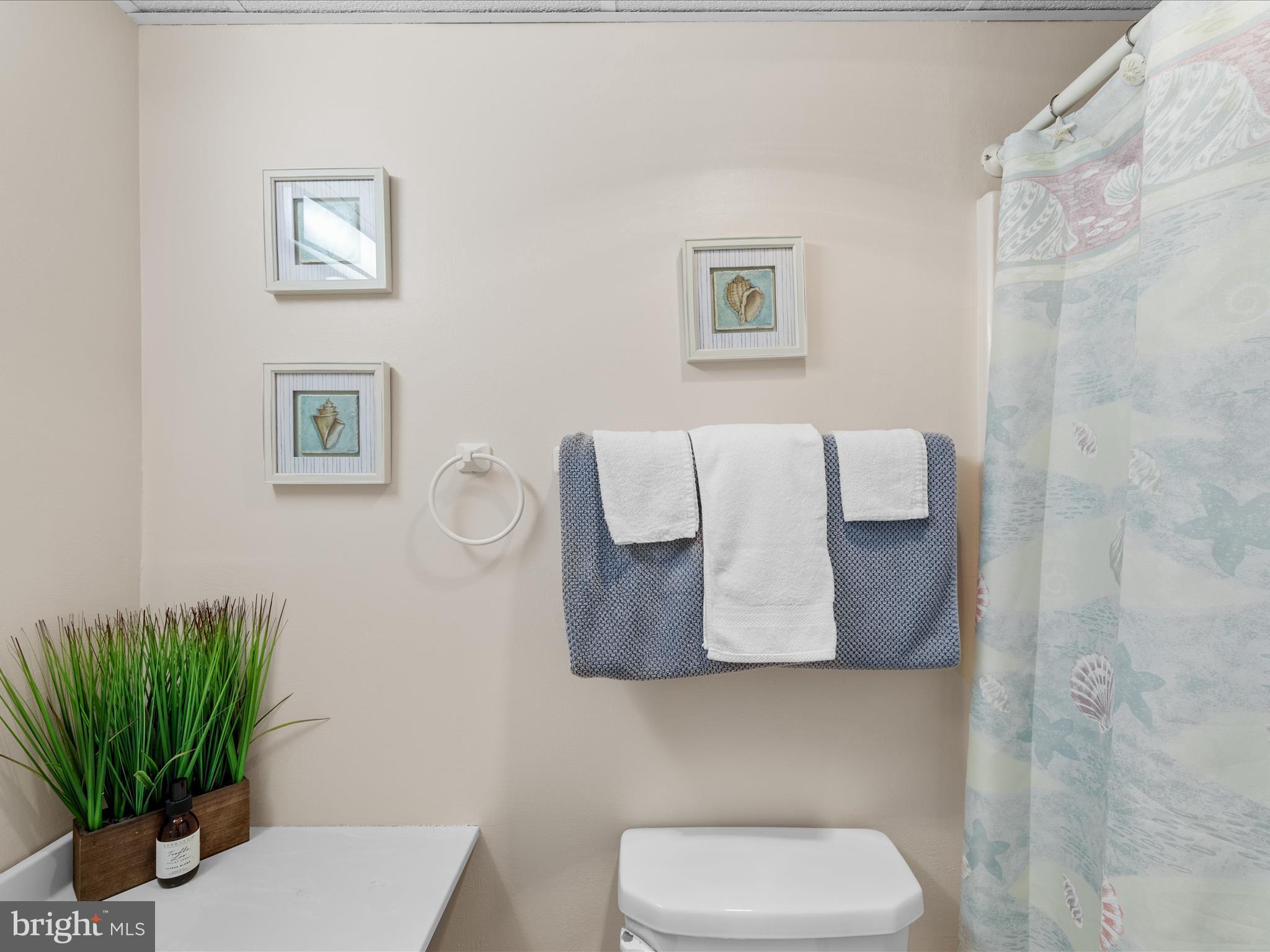 17 70th Street, Unit 25 Ocean City, MD 21842 - Photo 29 of 37 a bathroom with a toilet and a potted plant