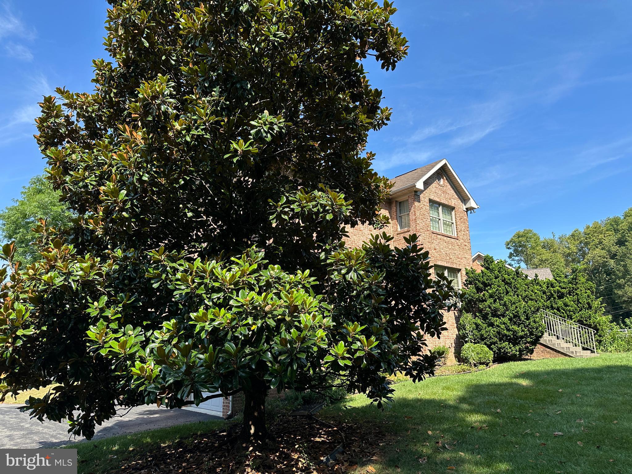 10744 Apple Tree Lane Williamsport, MD 21795 - Photo 21 of 118