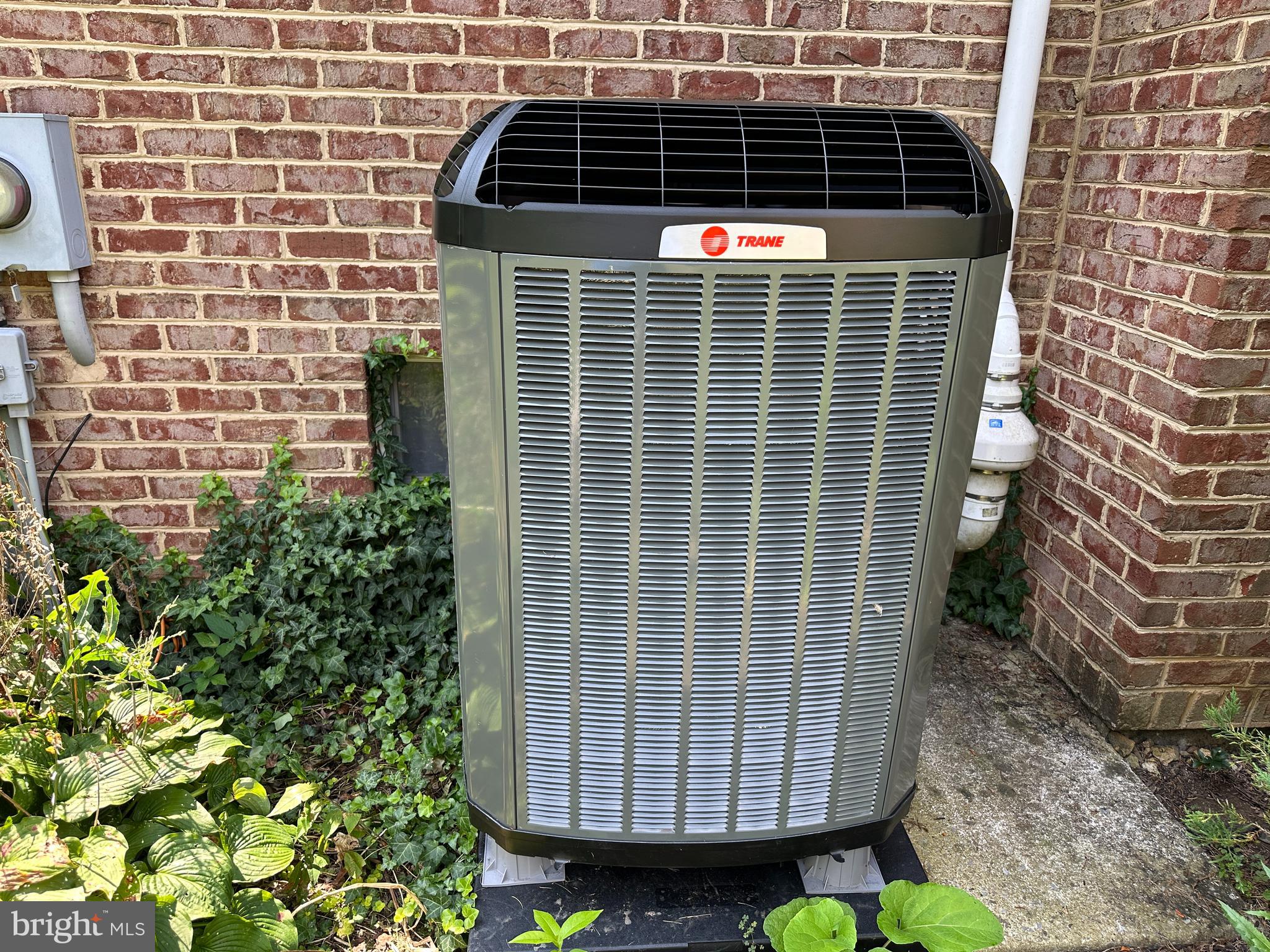 10744 Apple Tree Lane Williamsport, MD 21795 - Photo 27 of 118