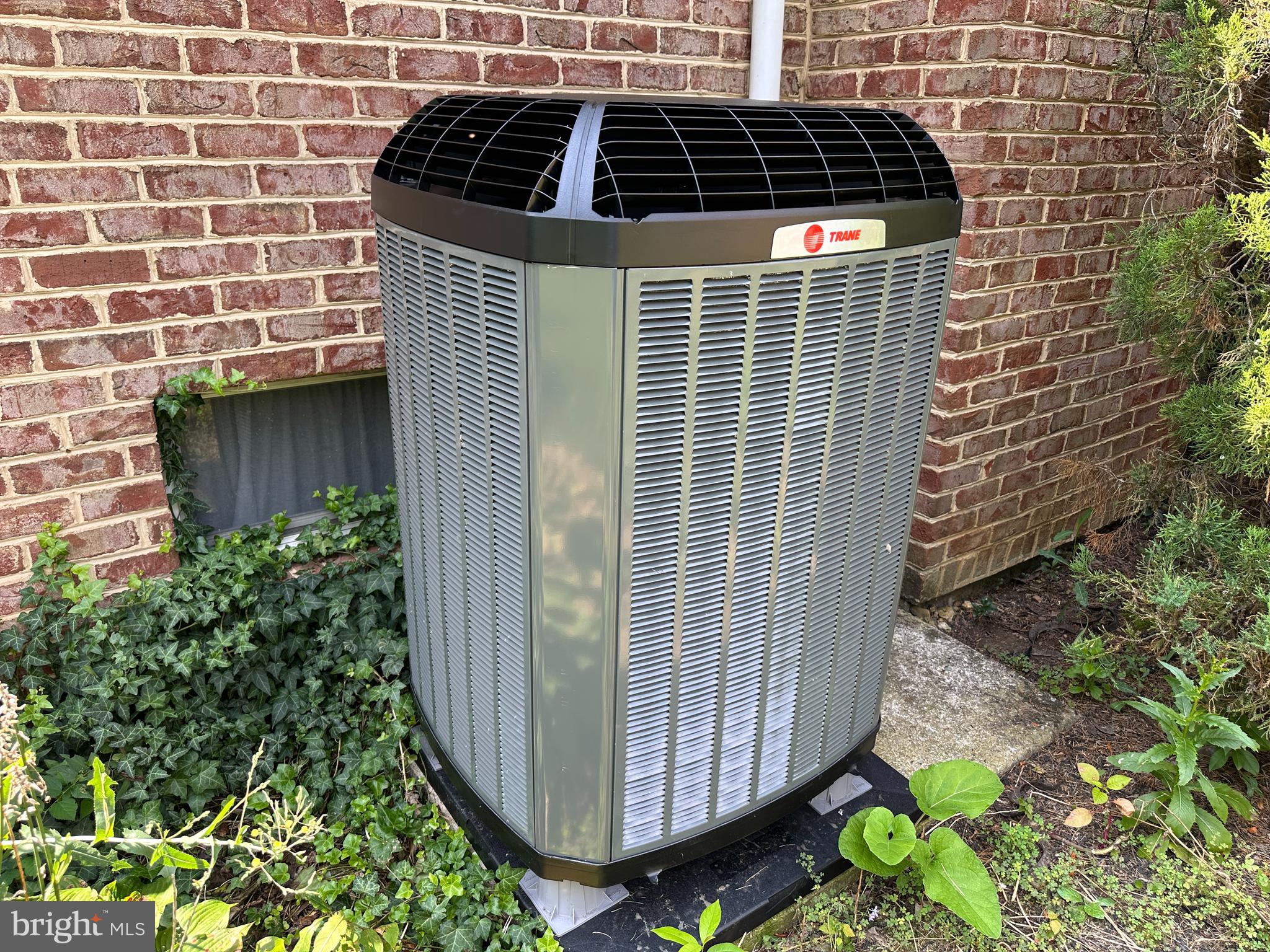 10744 Apple Tree Lane Williamsport, MD 21795 - Photo 28 of 118